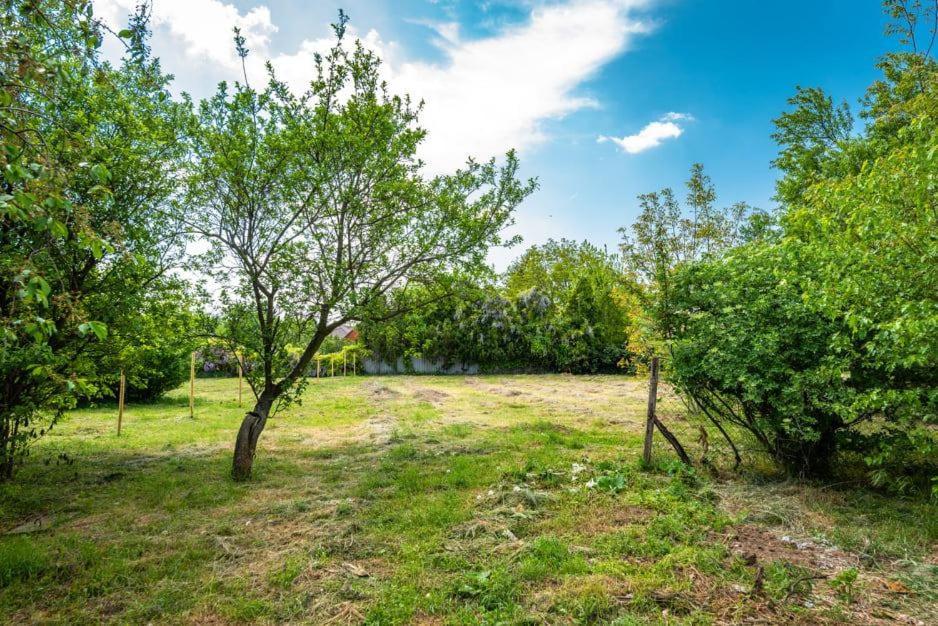 Апартаменти Dobo13 Балатонбоглар Екстер'єр фото